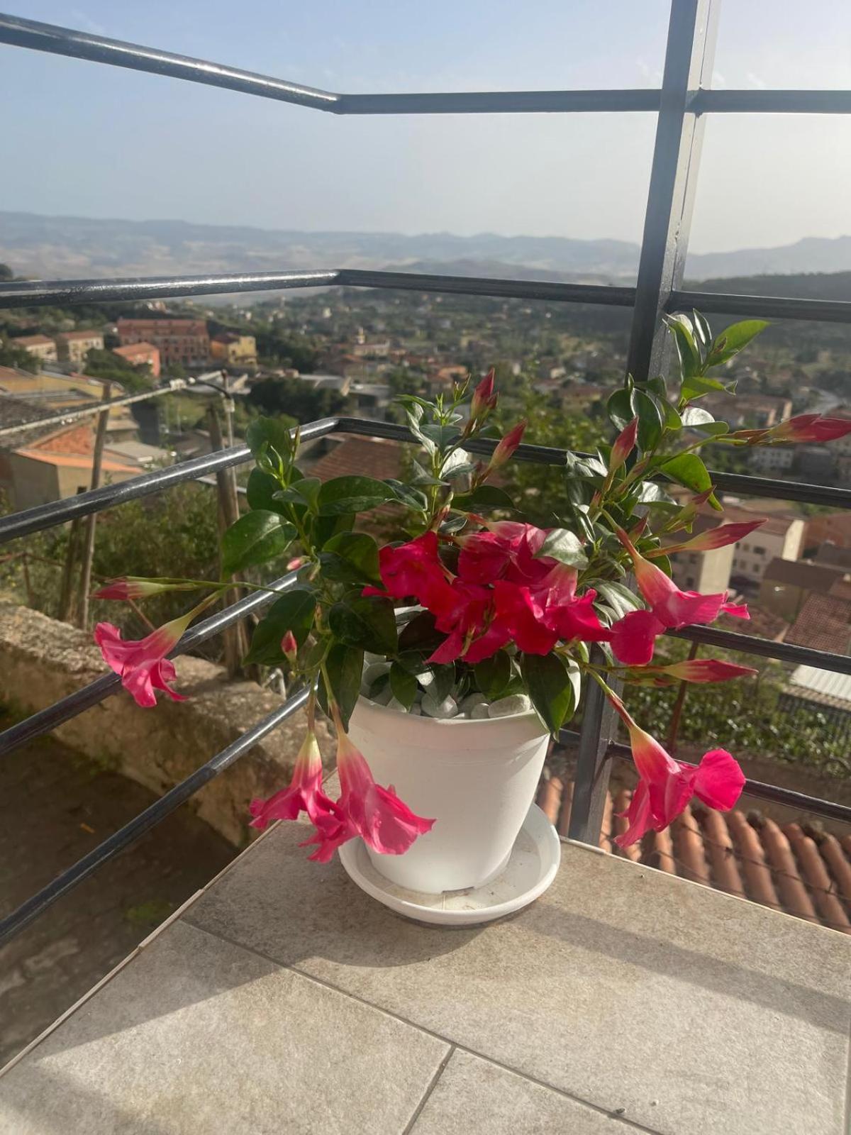 Assoro Crysas Home חדר תמונה